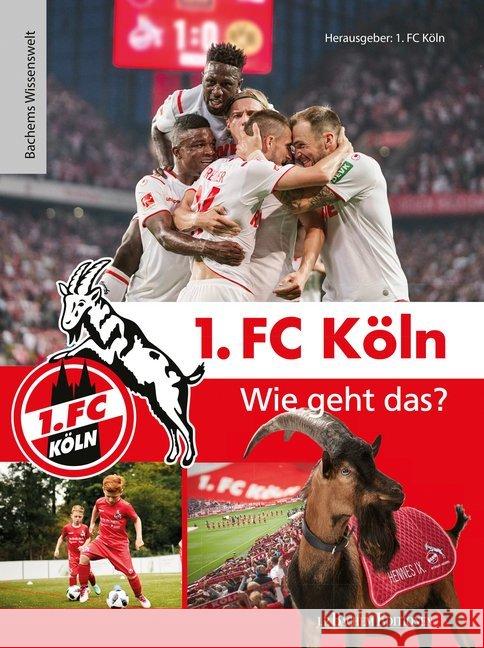 1. FC Köln - Wie geht das?  9783761633571 Bachem - książka