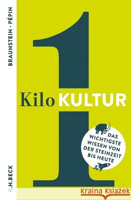 1 Kilo Kultur : Das wichtigste Wissen von der Steinzeit bis heute Braunstein, Florence; Pépin, Jean-François 9783406705977 Beck - książka