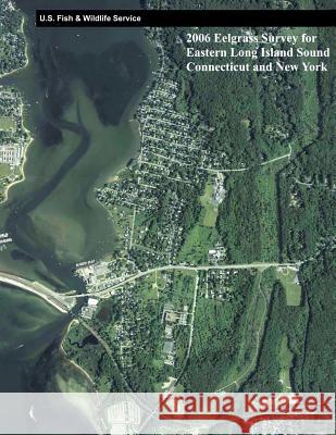 2006 Eelgrass Survey for Eastern Long Island Sound, Connecticut and New York Ralph Tiner Herb Bergquist Tom Halavik 9781489523310 Createspace - książka