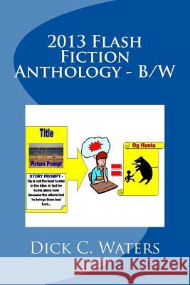 2013 Flash Fiction Anthology - B/W: 41 