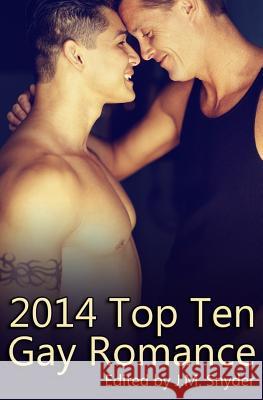 2014 Top Ten Gay Romance J. M. Snyder Sam Singer J. D. Walker 9781507596517 Createspace - książka