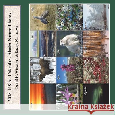 2018 USA Calendar - Alaska Nature Photos Daniel H. Wieczorek Kazuya Numazawa 9780996981057 Daniel H. Wieczorek - książka