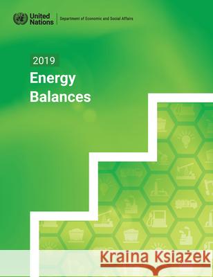 2019 energy balances United Nations: Department of Economic and Social Affairs: Statistics Division 9789212591940 United Nations - książka