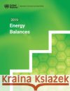 2019 energy balances United Nations: Department of Economic and Social Affairs: Statistics Division 9789212591940 United Nations