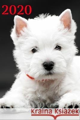 2020 White Dog Books 9781077073975 Independently Published - książka