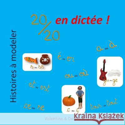 20/20 en dictée ! Stephen, Delphine 9781523915583 Createspace Independent Publishing Platform - książka