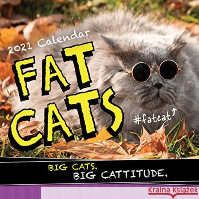 2021 Fat Cats Wall Calendar Sourcebooks 9781728206479 MELIA CALENDARS 221 - książka