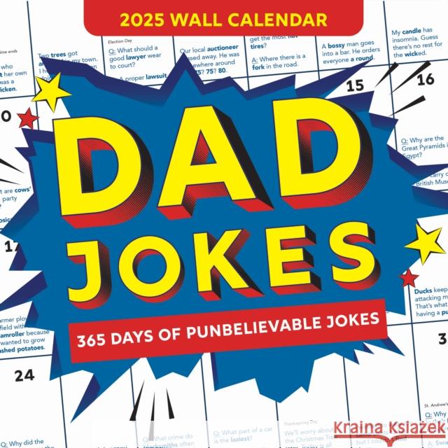 2025 Dad Jokes Wall Calendar: 365 Days of Punbelievable Jokes Sourcebooks 9781728293776 Sourcebooks, Inc - książka