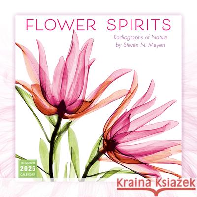 2025 Flower Spirits -- Radiographs of Nature by Steven N. Meyers Wall Calendar Steven N Meyers 9781531939830 Sellers Publishing - książka