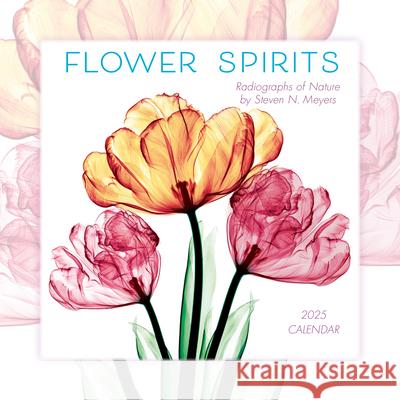 2025 Flower Spirits: Radiographs of Nature by Steven N. Meyers Mini Calendar Steven N Meyers 9781531940560 Sellers Publishing - książka