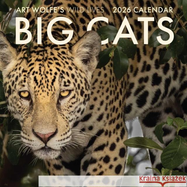 2026 Big Cats Wall Calendar: Art Wolfe's Wild Lives Art Wolfe 9798887621579 Insight Editions - książka