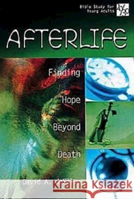 20/30 Bible Study for Young Adults: Afterlife: Finding Hope Beyond Death deSilva, David A. 9780687052844 Abingdon Press - książka