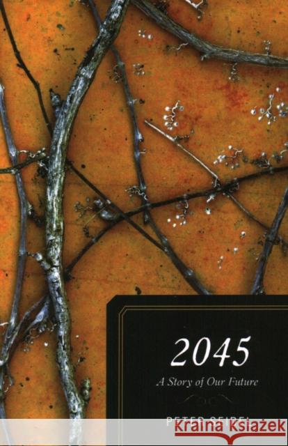 2045: A Story of Our Future Seidel, Peter 9781591027058 Prometheus Books - książka