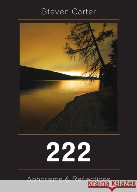 222: Aphorisms & Reflections, Volume 1 Carter, Steven 9780761840503 Hamilton Books - książka