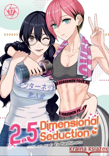 2.5 Dimensional Seduction Vol. 17 Yu Hashimoto 9798893735888  - książka
