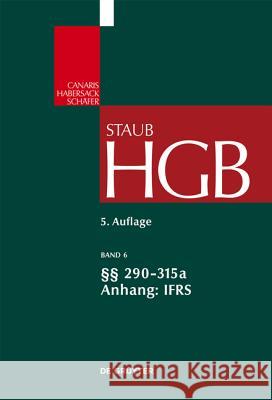 290-315a; Anhang Ifrs Peter Kindler 9783899494129 Walter de Gruyter - książka