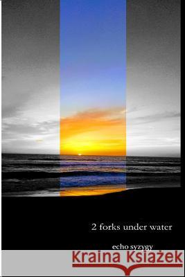 2 forks under water Echo Syzygy 9781983855528 Createspace Independent Publishing Platform - książka