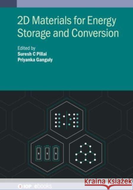 2D Materials for Energy Storage and Conversion Suresh C. Pillai Priyanka Ganguly 9780750333177 IOP Publishing Ltd - książka