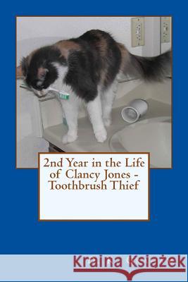 2nd Year in the Life of Clancy Jones - Toothbrush Thief D. K. Graham 9781505950076 Createspace - książka