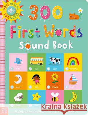 300 First Words Sound Book Sarah Creese Danielle Mudd 9781836428572 Make Believe Ideas - książka