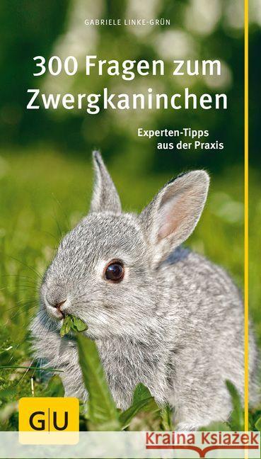 300 Fragen zum Zwergkaninchen : Experten-Tipps aus der Praxis Linke-Grün, Gabriele 9783833855771 Gräfe & Unzer - książka