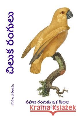 చిలుక రంగులు: సహజ రంగుకు ఒక పిల్లĸ David E McAdams   9781632704382 Life Is a Story Problem LLC - książka