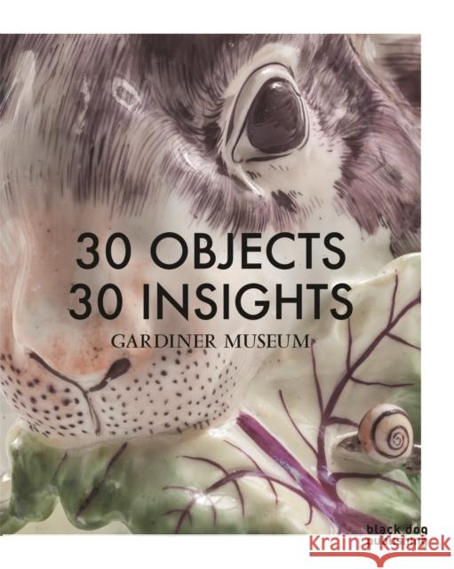 30 Objects 30 Insights Gotlieb, Rachel 9781908966674 Black Dog Press - książka