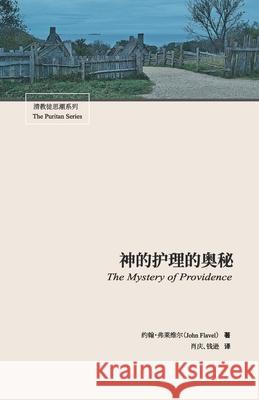 神的护理的奥秘 Flavel John 肖庆                         钱逊 9781913282349 Latreia Press Ltd - książka