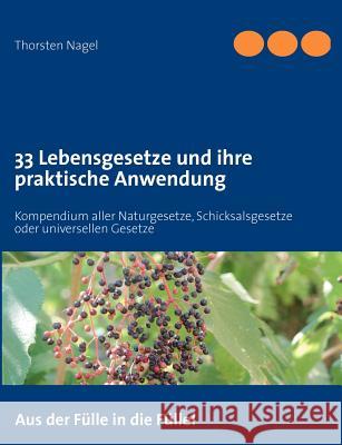 33 Lebensgesetze und ihre praktische Anwendung: Kompendium aller Naturgesetze, Schicksalsgesetze oder universellen Gesetze Nagel, Thorsten 9783842373662 Books on Demand - książka