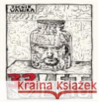 33 let v lihu Zdeněk Vaňura 9788088372066 Milan Hodek - książka