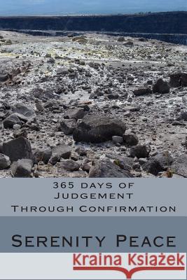 365 days of Judgement: Through Confirmation Peace, Serenity 9781511680103 Createspace - książka