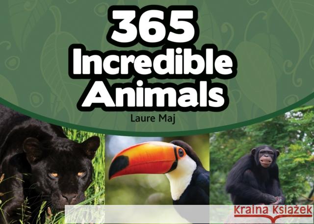 365 Incredible Animals Laure Maj 9781770857551 Firefly Books - książka