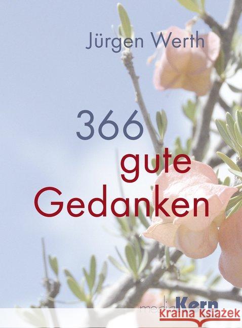 366 guten Gedanken : Ein Jahresbegleiter Werth, Jürgen 9783842935341 mediaKern - książka