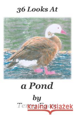 36 Looks At a Pond Egan, Terry 9781519710987 Createspace Independent Publishing Platform - książka