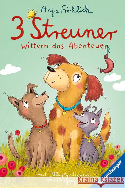 3 Streuner wittern das Abenteuer Fröhlich, Anja 9783473409174 Ravensburger Verlag - książka