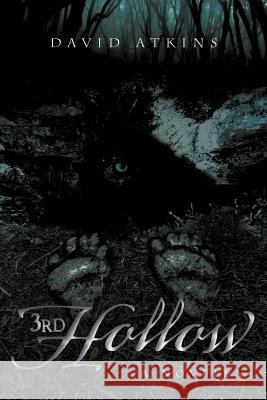 3rd Hollow David Atkins 9781479700318 Xlibris Corporation - książka