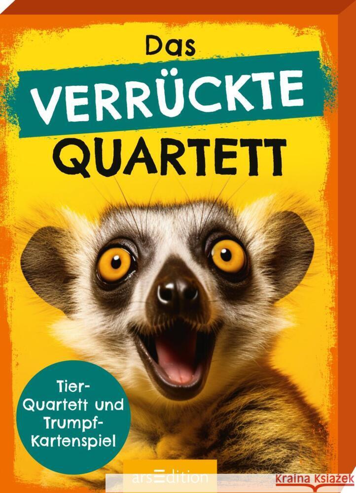 Das verrückte Quartett Buck, Julia 4014489135074 ars edition