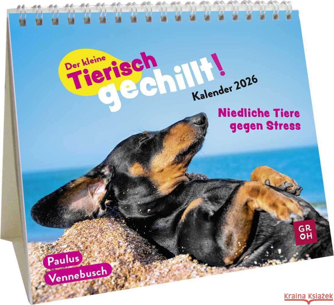 Mini-Kalender 2026: Der kleine Tierisch gechillt! Kalender Vennebusch, Paulus 4036442013236