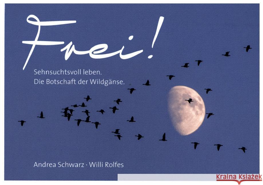 Frei! - Postkartenbuch : Sehnsuchtsvoll leben. Die Botschaft der Wildgänse Schwarz, Andrea, Rolfes, Willi 4250454729439 adeo