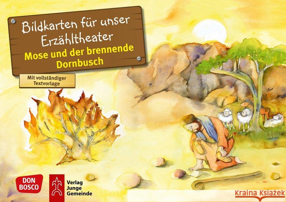 Mose und der brennende Dornbusch : Entdecken. Erzählen. Begreifen. Kamishibai Bildkartenset Nommensen, Klaus-Uwe 4260179514067