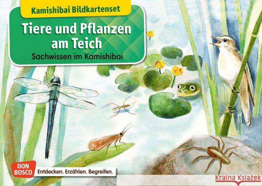 Tiere und Pflanzen am Teich. Kamishibai Bildkartenset : Entdecken - Erzählen - Begreifen: Sachwissen Stöckl-Bauer, Katharina 4260179515736