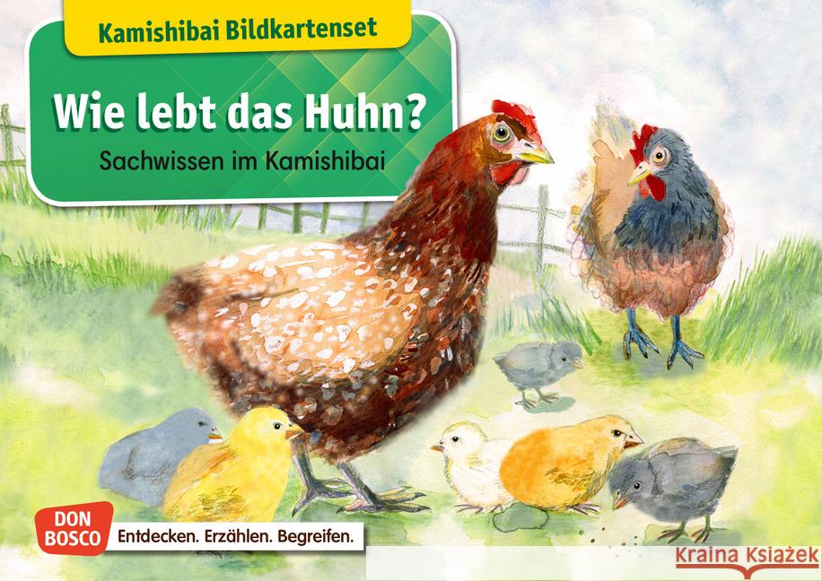 Wie lebt das Huhn? Kamishibai Bildkartenset : Entdecken - Erzählen - Begreifen: Sachwissen Stöckl-Bauer, Katharina 4260179516344