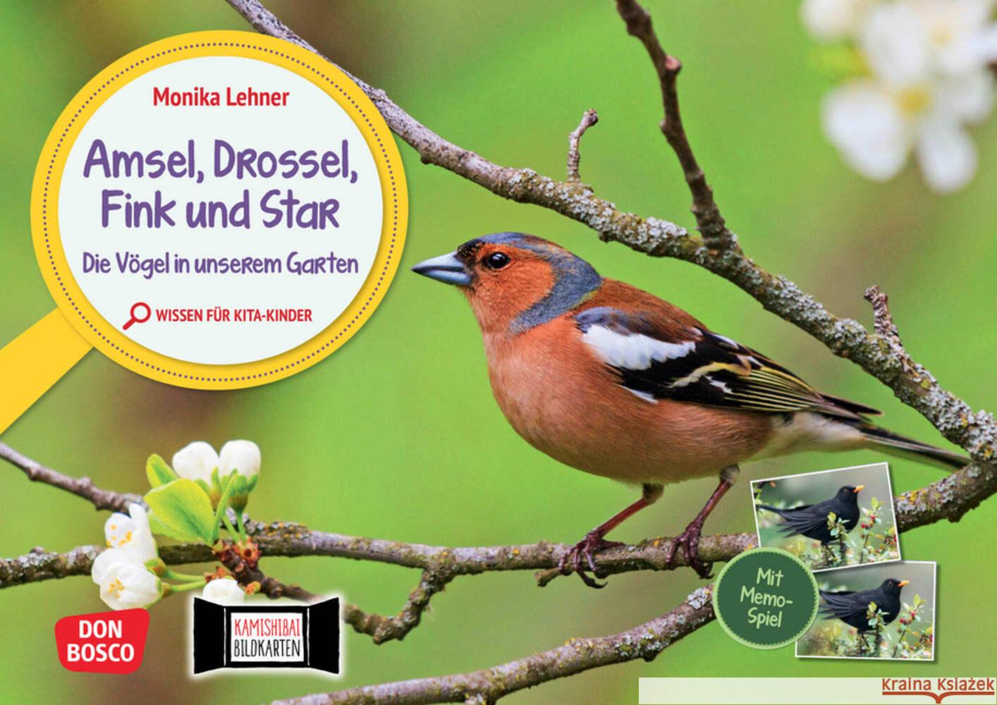 Amsel, Drossel, Fink und Star. Die Vögel in unserem Garten. Kamishibai Bildkarten und Memo-Spiel Lehner, Monika 4260179517914 Don Bosco Medien