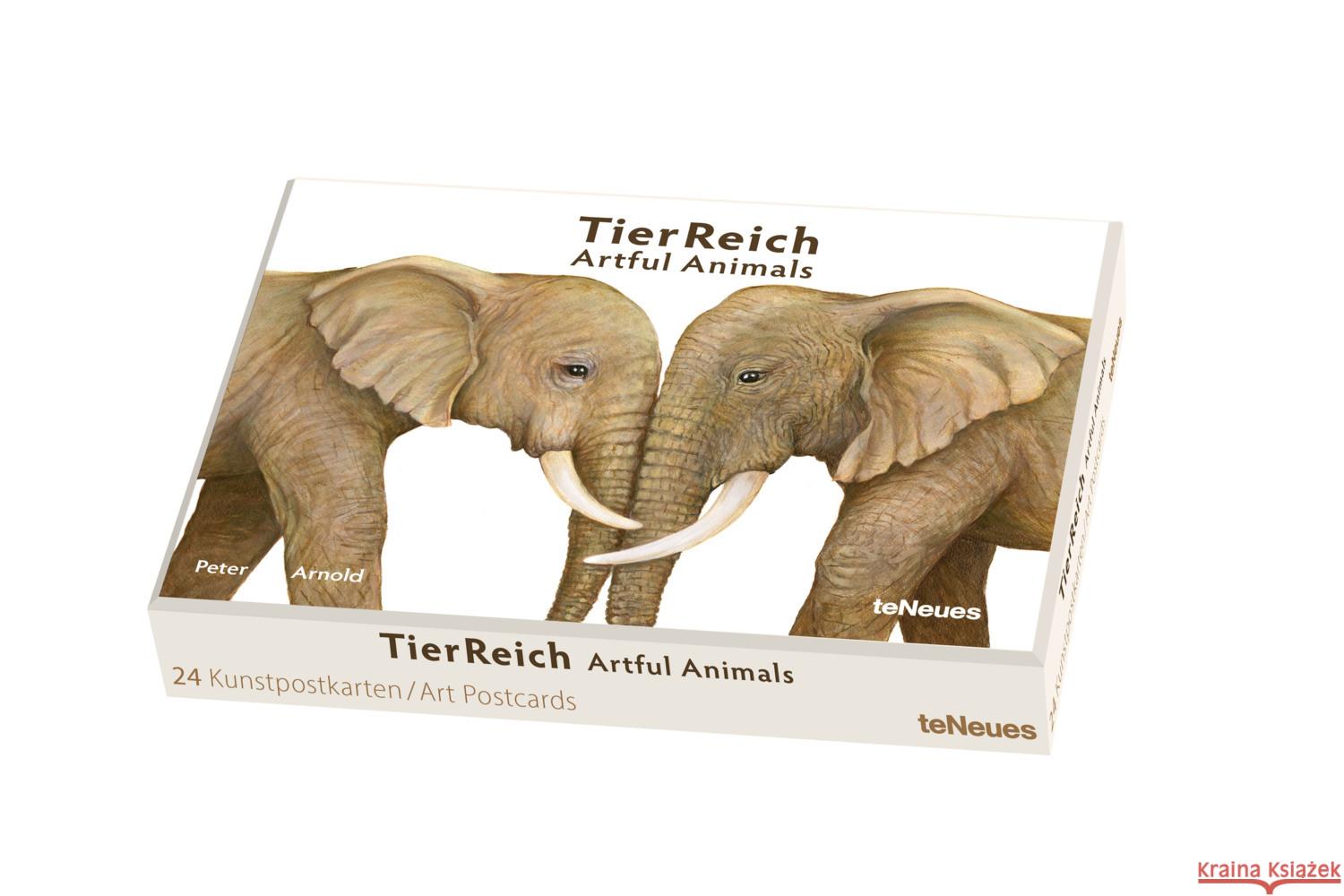 TierReich Kunstkartenbox Arnold, Peter 4260416451285