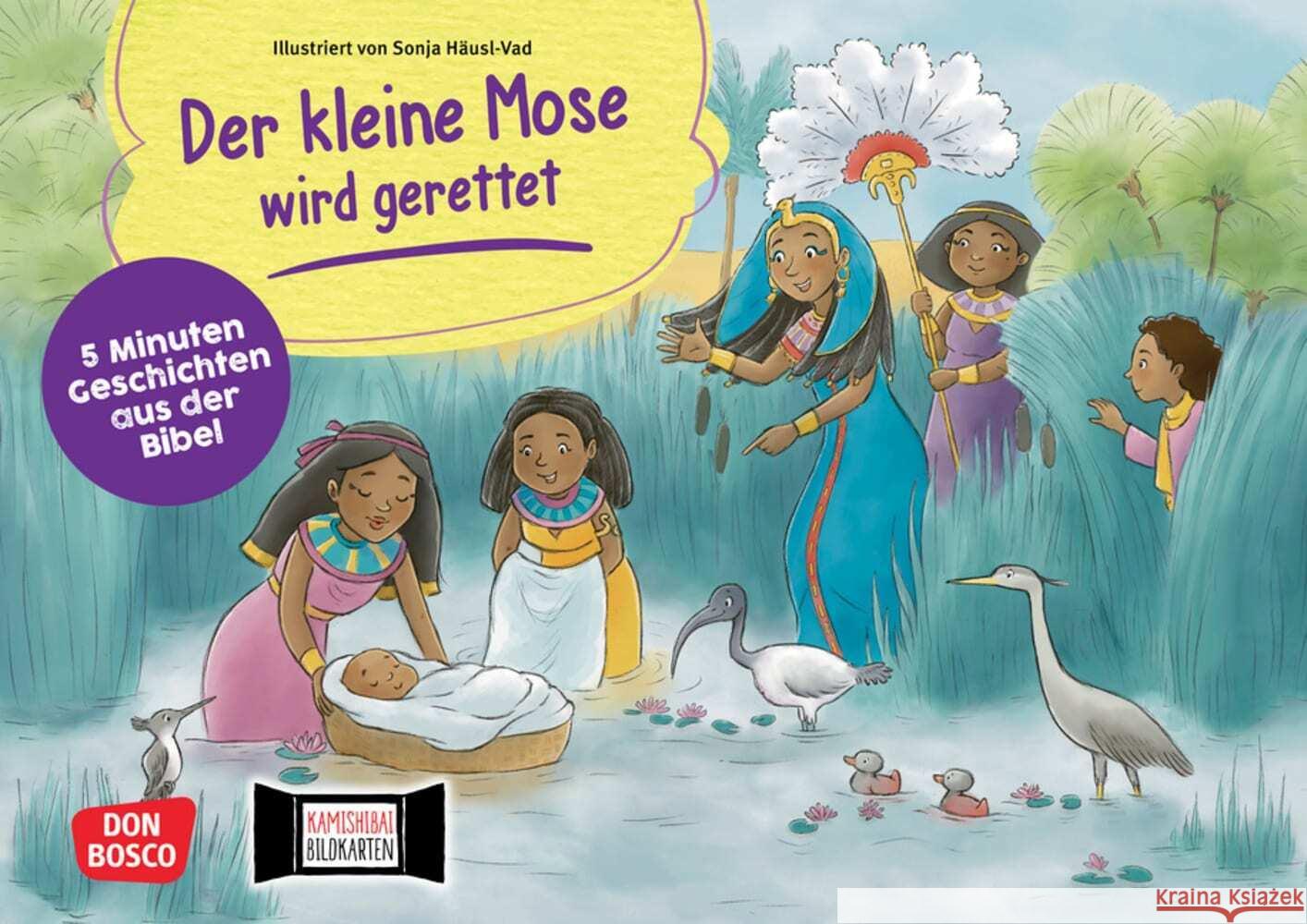 Der kleine Mose wird gerettet. Kamishibai Bildkartenset Hebert, Esther, Rensmann, Gesa 4260694920534