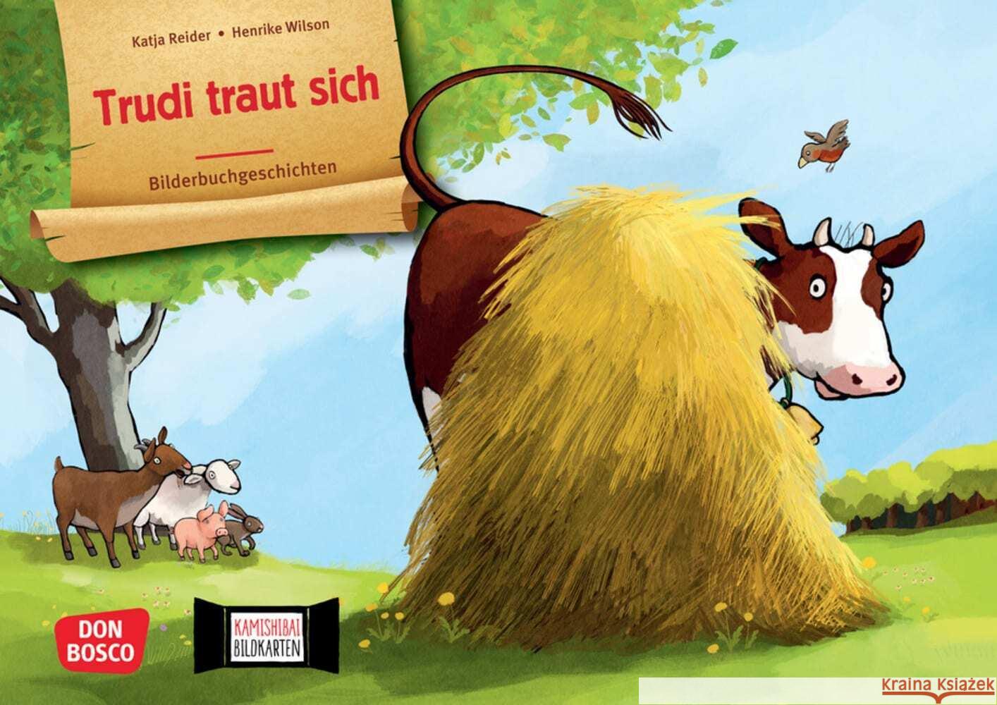 Trudi traut sich. Kamishibai Bildkartenset Reider, Katja 4260694922330