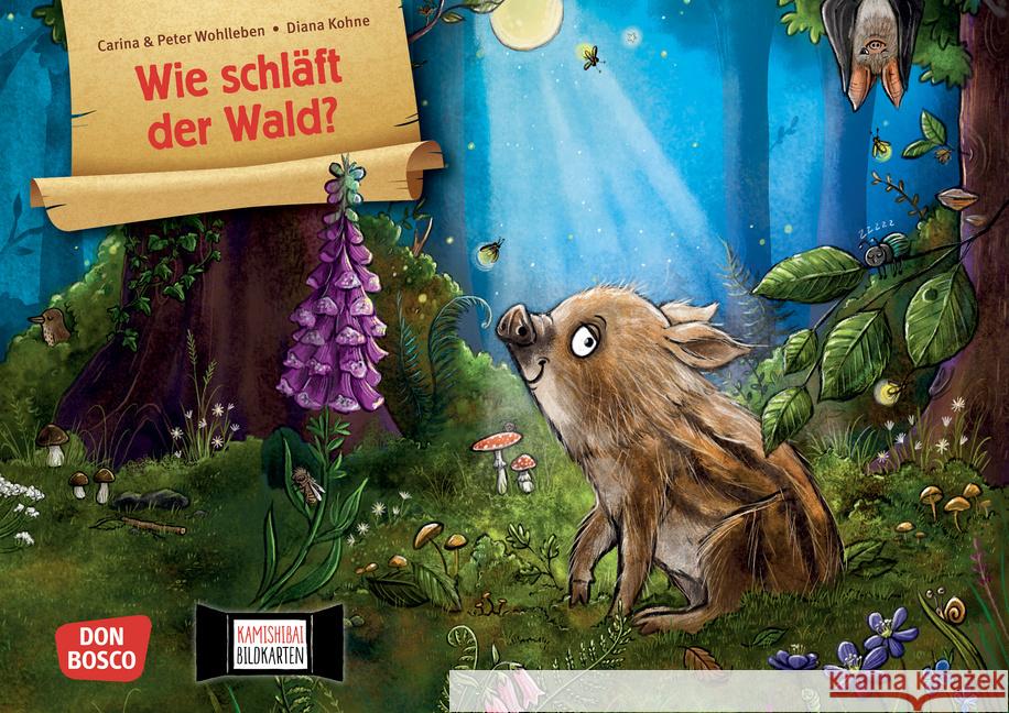 Wie schläft der Wald? Kamishibai Bildkartenset Wohlleben, Carina, Wohlleben, Peter 4260694922927