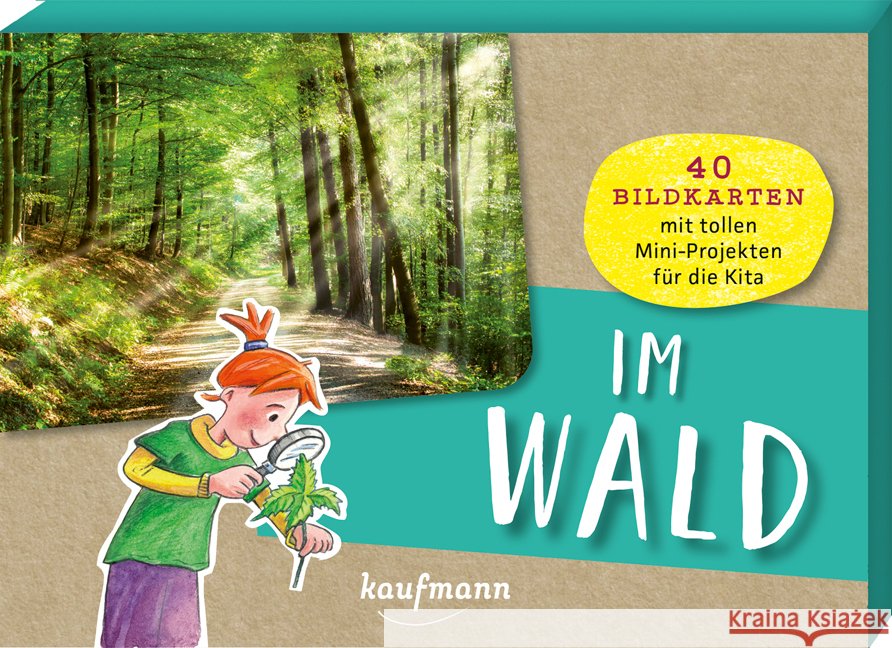 Im Wald Mohr, Anja 4280000572202