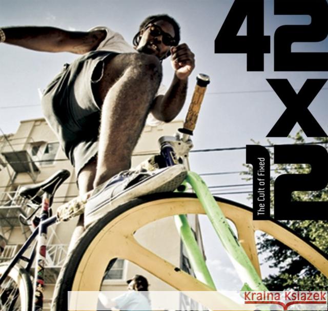 42x12. the Cult of Fixed Potter, Patrick 9780955912139  - książka