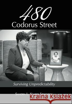 480 Codorus Street Sandra L Kearse-Stockton 9781456636081 Ebookit.com - książka